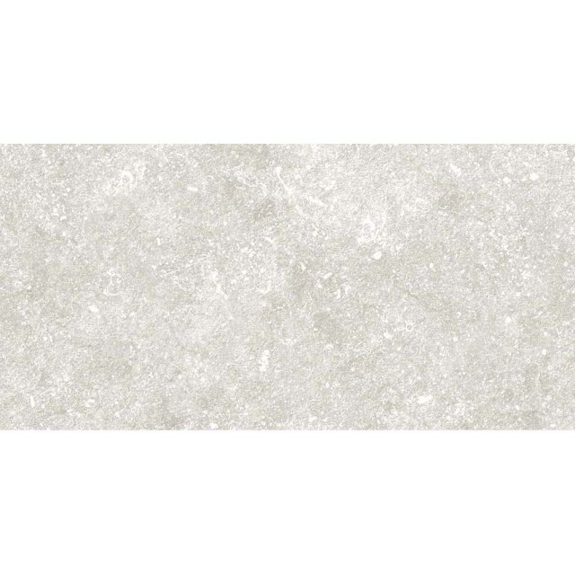 Gres szkliwiony MEDICIO light grey mat 29,8x59,8 gat. I