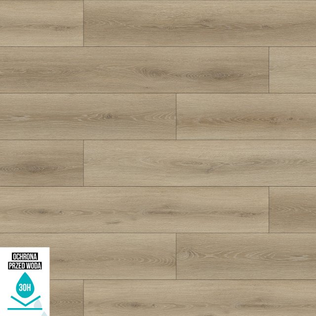 Panele podłogowe WILD WOOD BBL DĄB GOŹDZIKOWY AC6 10 mm