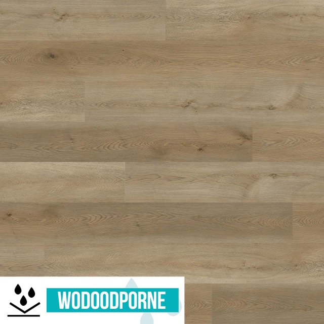 Panele winylowe SPC WILD WOOD WW DĄB MAZURSKI KL 23-34 6 mm