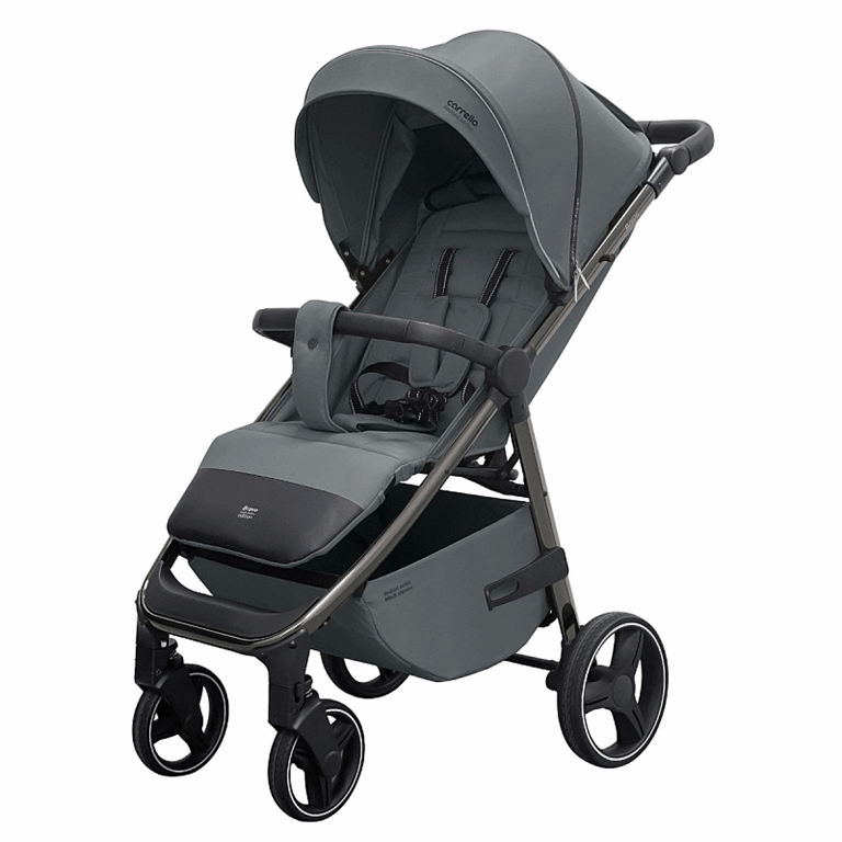 Carrello Bravo Plus - wózek spacerowy do 22 kg-Cloudy Grey Black Chrome