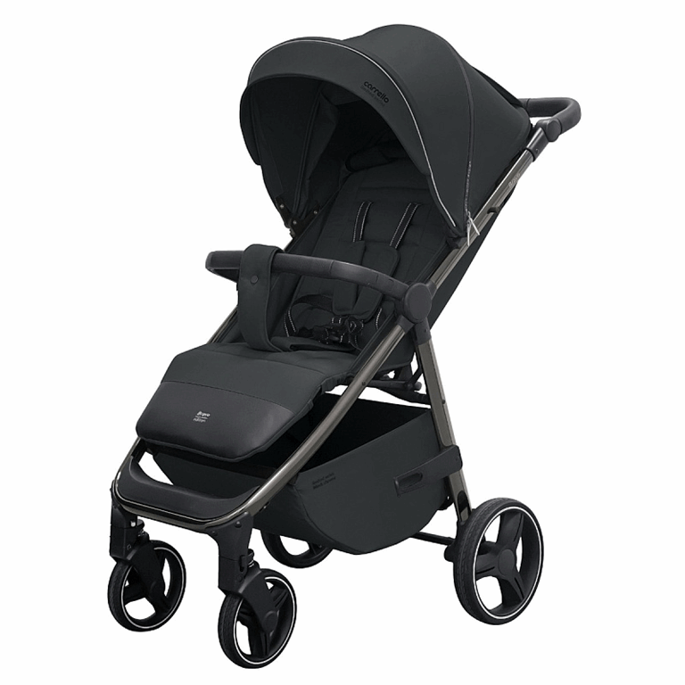 Carrello Bravo Plus - wózek spacerowy do 22 kg-Falcon Grey Black Chrome