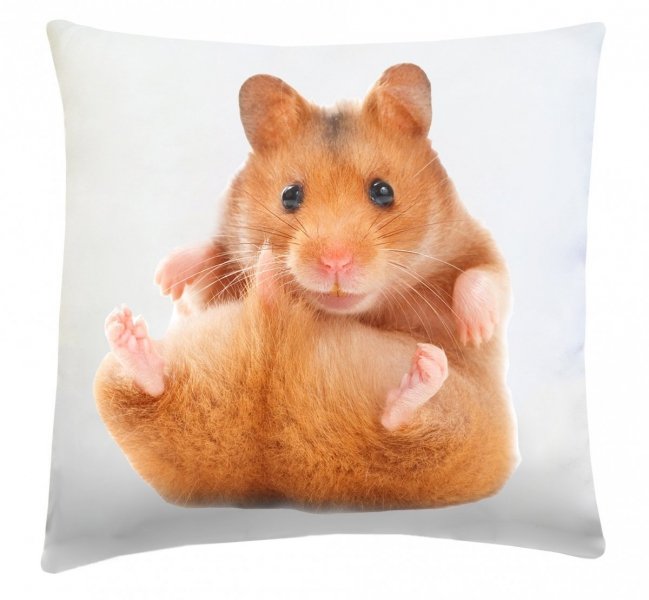 Poduszka dekoracyjna 40x40 wz. Chomik