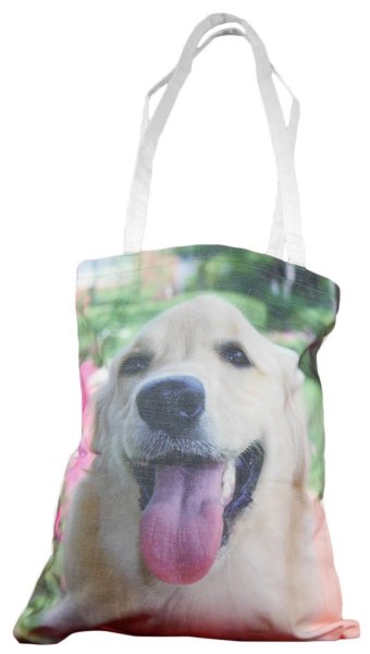 Siatka Foto JEDEKA roz. 36x41 wz. C0001