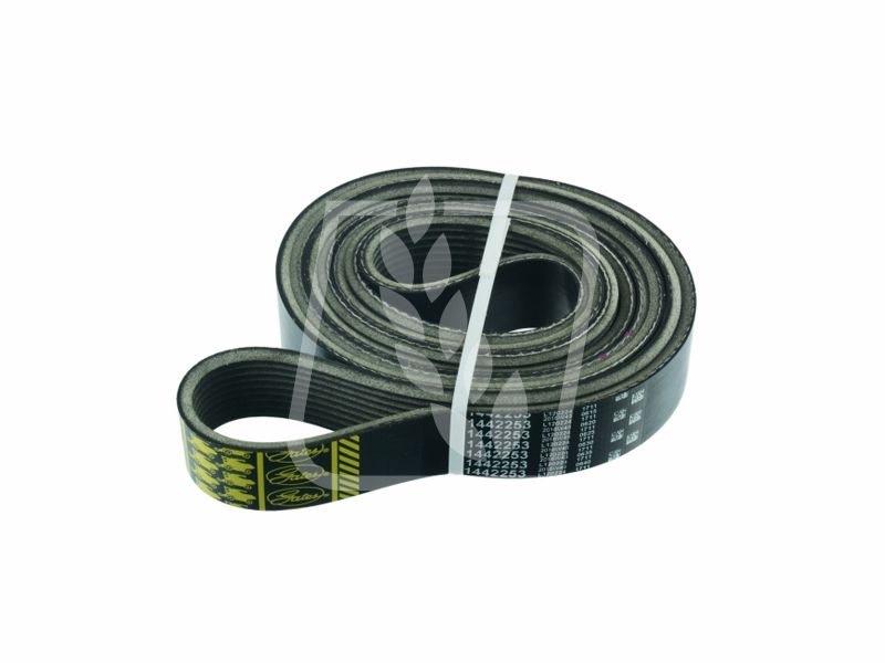 Pas wielorowkowy 142232 1442253