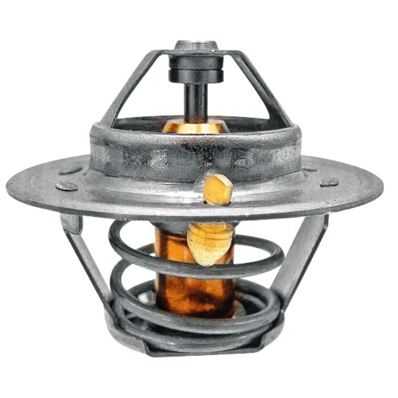 Termostat Renault 6005022968