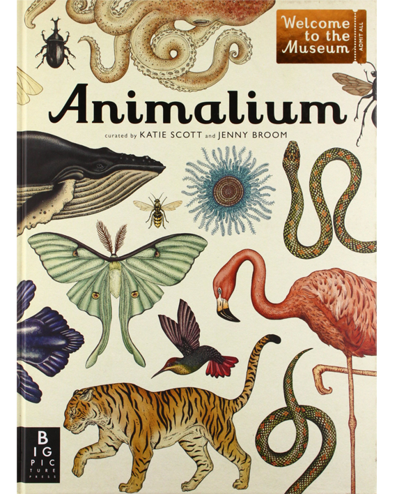 Animalium