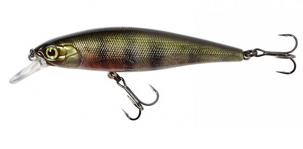 Jackall Wobler Squad Minnow 9,5cm 95SP RT Perch