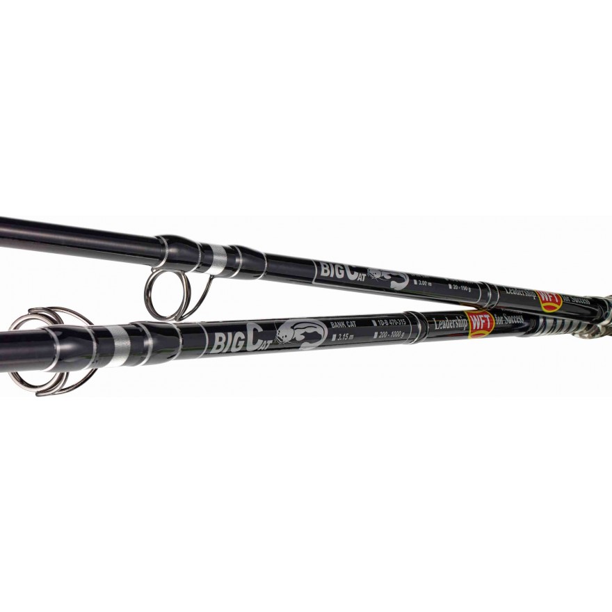 WFT Big Cat Bank Cat 4.10m 200-1000g