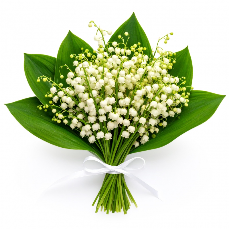 Bukiet konwalie
