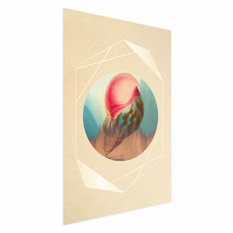 Plakat Artgeist Muszla 21x30 cm bez ramy 1 szt