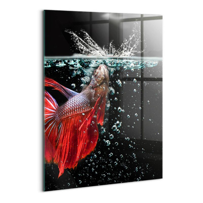 Szklany Obraz Ścienny Wallfluent 70x100 cm Ryba w akwarium 1 szt.