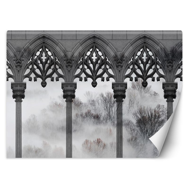 Fototapeta Feeby Drzewa Mgła Filary Czarny Biały 150x105 1 szt