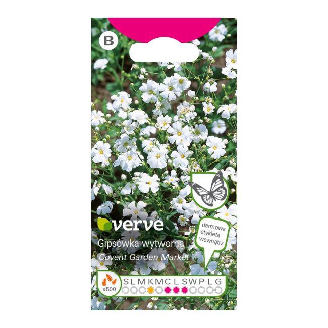 Nasiona gipsówka wytworna Verve