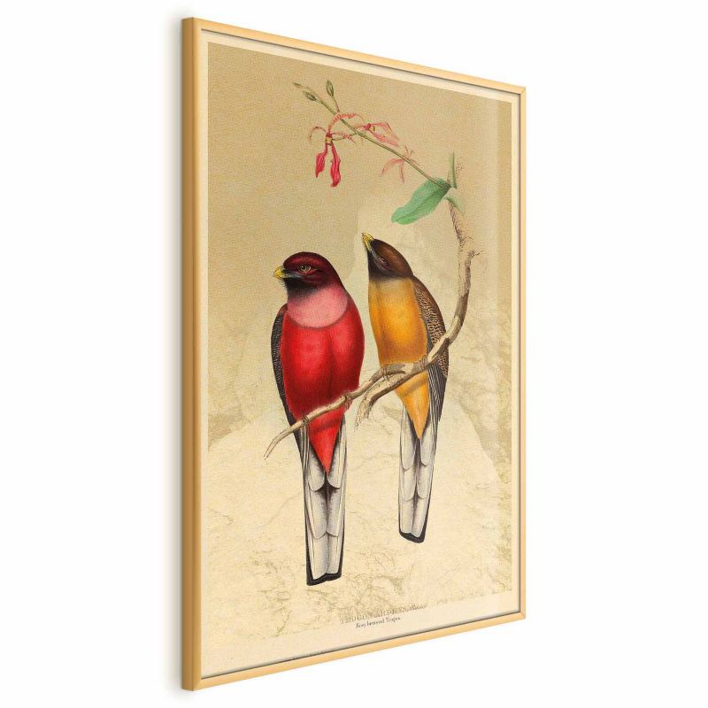 Plakat Artgeist Ptaki na gałązce 60x90 cm z ramą złotą 1 szt