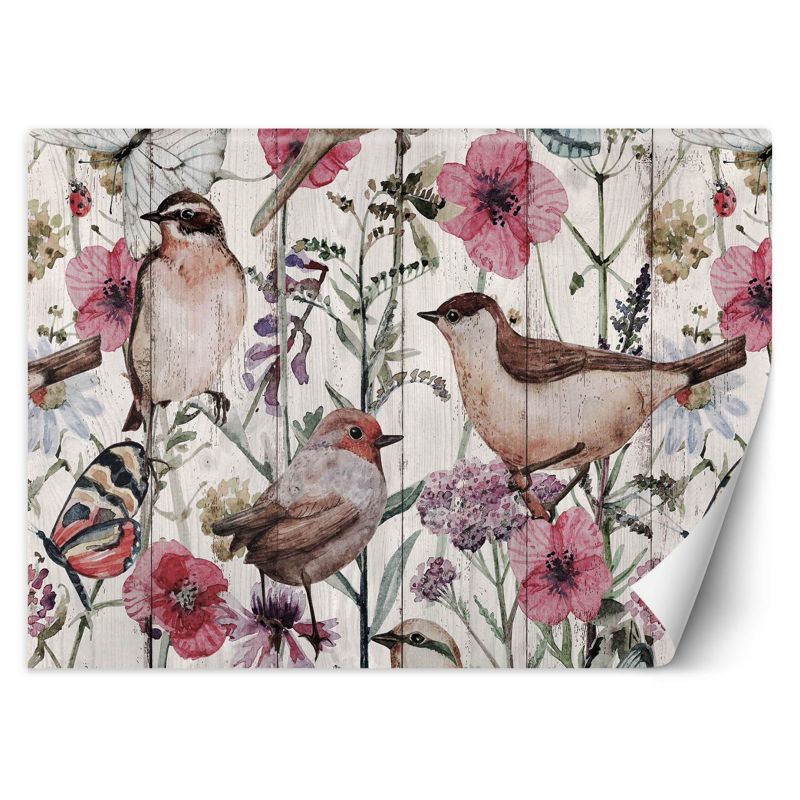 Fototapeta Feeby Ptaki i motyle na łące polne kwiaty 100x70 1 szt