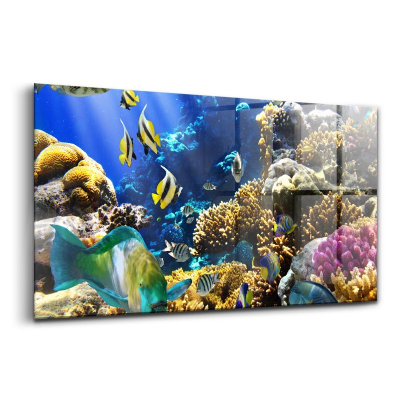 Szklany Obraz Ścienny Wallfluent 120x60 cm Zdjęcie ryby na rafie koralowej 1 szt.