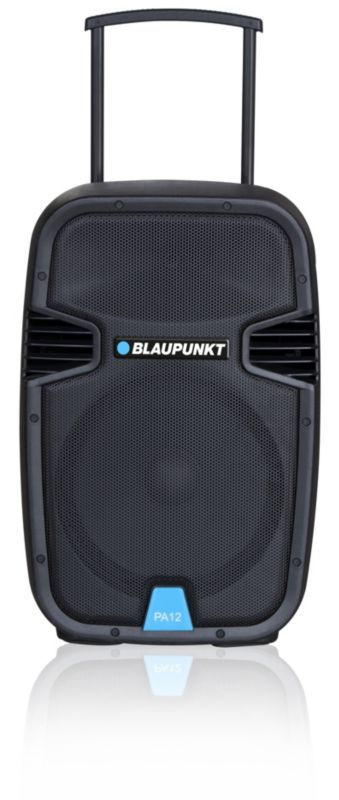 Profesjonalny system audio Blaupunkt PA12 1 szt.