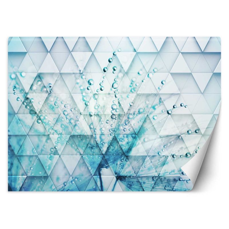 Fototapeta Feeby Turkusowy dmuchawiec w kroplach rosy 450x315 1 szt