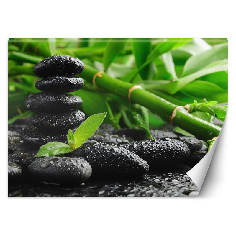 Fototapeta Feeby Bambus kamienie zen 400x280 1 szt