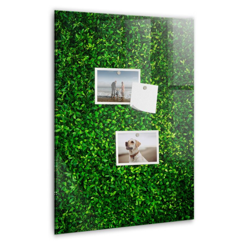 Szklana tablica magnetyczna Wallfluent 40x60 cm Płot liście roślin Biały marker 1 szt.