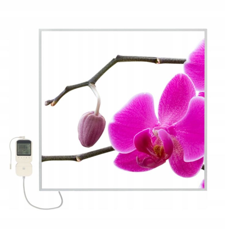 Panel grzewczy podczerwień EL FUEGO grzejnik z motywem 360w 1szt