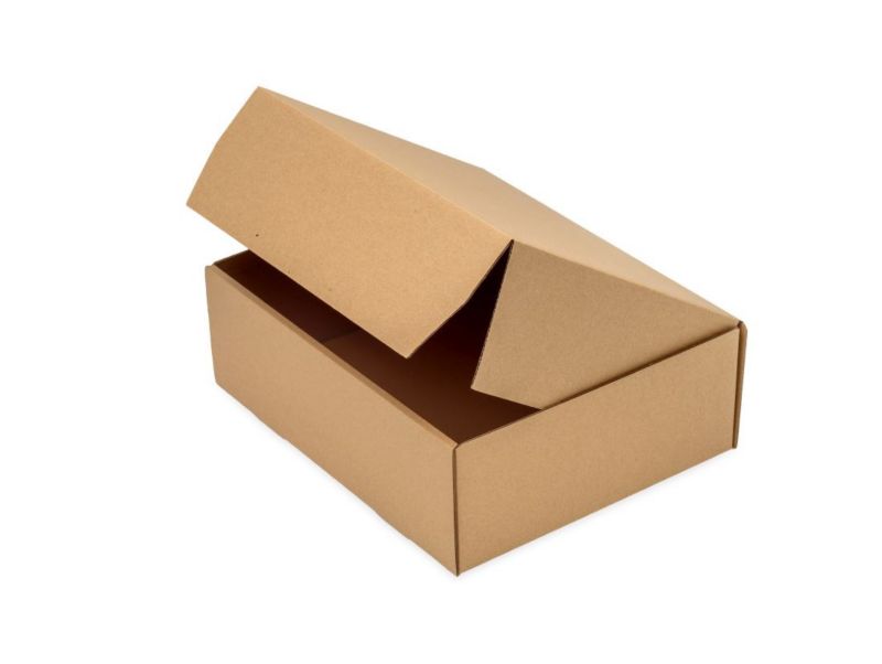 Karton Wykrojnikowy Neopak 300x240x100 mm Pudełka 50 szt.