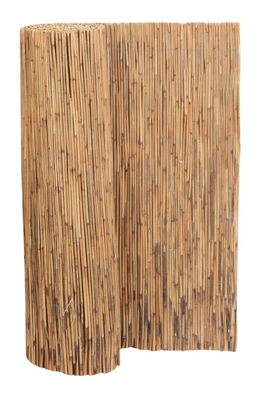 Mata trzcinowa 100 x 600 cm