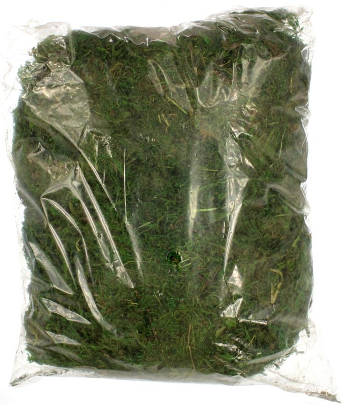 Mech MAG 21 x 16 x 7 cm