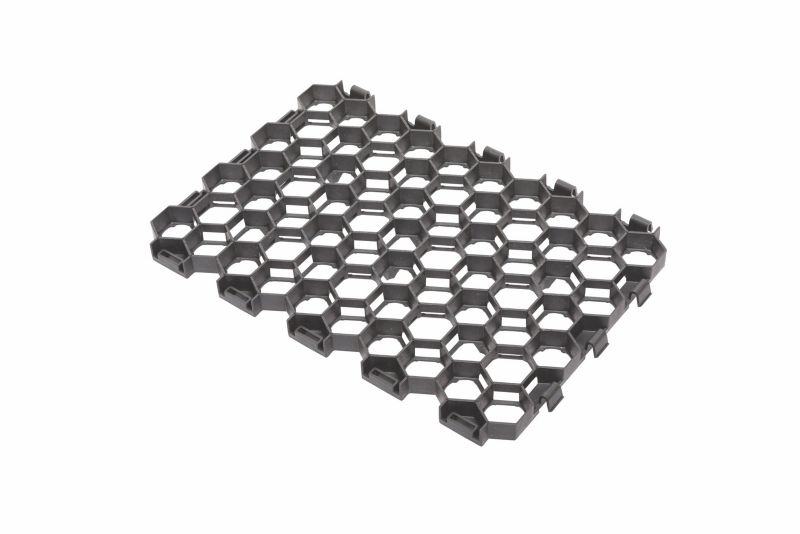 Geokrata kratka trawnikowa Blooma szara