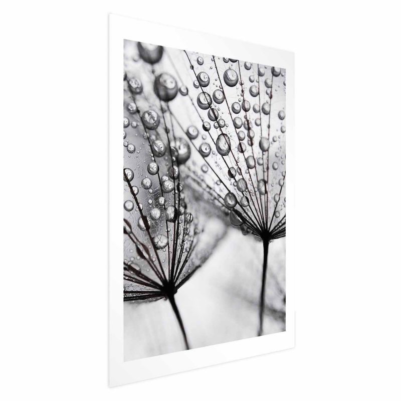 Plakat Artgeist Rosa 21x30 cm bez ramy 1 szt