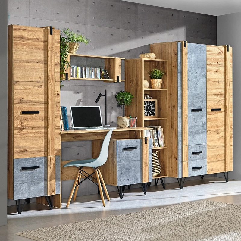 Młodzieżowa meblościanka z biurkiem i szafą LOSTI