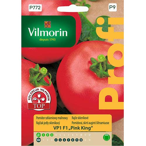 1 szt, Pomidor szklarniowy malinowy Pink King F1 Vilmorin - Nasiona: Ilość w opakowaniu: 15 szt