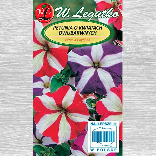 1 szt, Petunia Star, mieszanka - Nasiona: Ilość w opakowaniu: 0.01 g