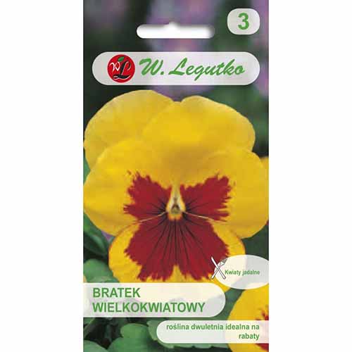 1 szt, Bratek wielkokwiatowy Early Yellow Red Blotch Legutko - Nasiona: Ilość w opakowaniu: 0.4 g