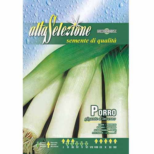 1 szt, Por Gigante d'Inverno Morami - Nasiona: Ilość w opakowaniu: 4 g