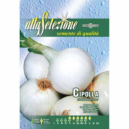 1 szt, Cebula biała Tonda musona Morami - Nasiona: Ilość w opakowaniu: 3 g