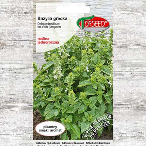 1 szt, Oregano greckie, nasiona - Nasiona: Ilość w opakowaniu: 0.1 g