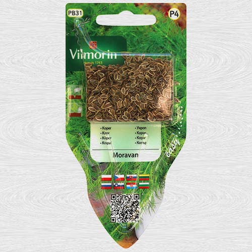 1 szt, Koper Moravan - Nasiona: Ilość w opakowaniu: 4 g