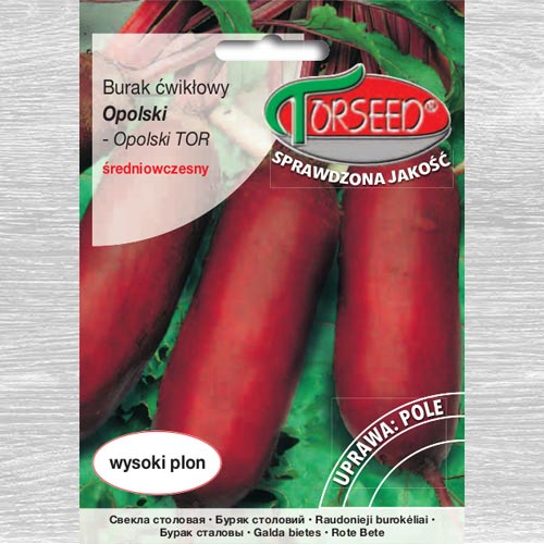 1 szt, Burak ćwikłowy Opolski - Nasiona: Ilość w opakowaniu: 15 g