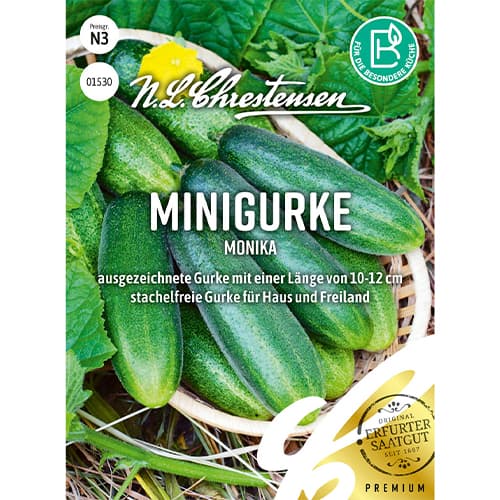 1 szt, Ogorek Monika - Nasiona: Ilość w opakowaniu: 35 szt.