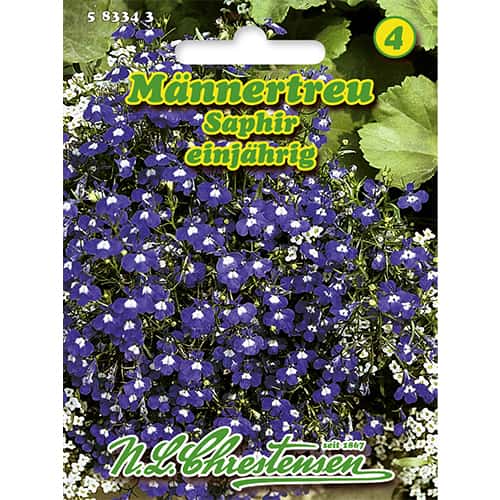 Lobelia zwisająca niebieska Saphir - Nasiona. Ilość w opakowaniu: 1 opak - GradinaMax