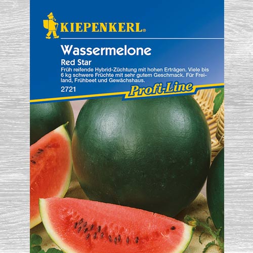 1 szt, Arbuz Red Star F1 - Nasiona: Ilość w opakowaniu: 1 opak