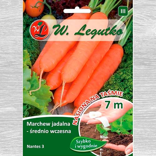 1 szt, Marchew Nantes 3 - Nasiona: Ilość w opakowaniu: 400 szt