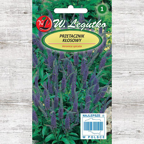 1 szt, Przetacznik kłosowy niebieski Legutko - Nasiona: Ilość w opakowaniu: 0.1 g