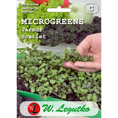 1 szt, Microgreens Jarmuż Scarlet - Nasiona: Ilość w opakowaniu: 3 g