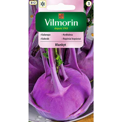 1 szt, Kalarepa Blankyt fioletowa Vilmorin - Nasiona: Ilość w opakowaniu: 2 g