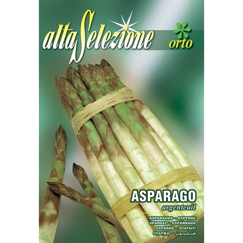 1 szt, Szparag Argenteuil Morami - Nasiona: Ilość w opakowaniu: 4 g