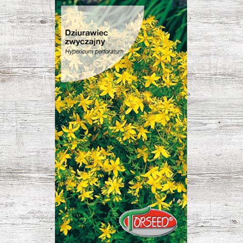 1 szt, Dziurawiec zwyczajny, nasiona - Nasiona: Ilość w opakowaniu: 0.2 g