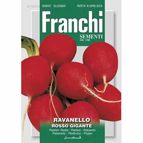 1 szt, Rzodkiewka Rosso Gigante Morami - Nasiona: Ilość w opakowaniu: 15 g