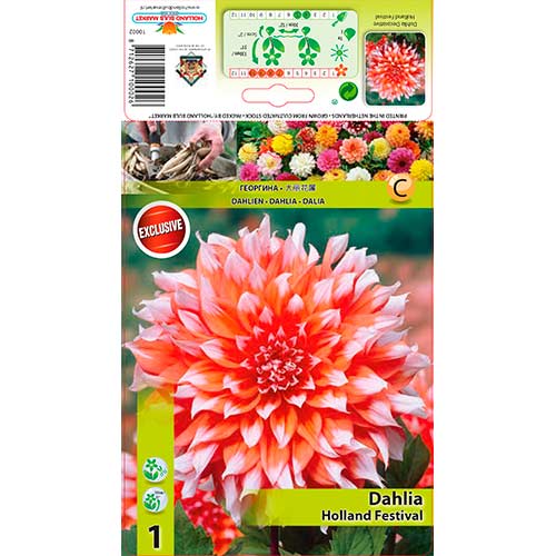 1 szt., Dalia Holland Festival - Byliny: Ilość w opakowaniu: 1 szt.